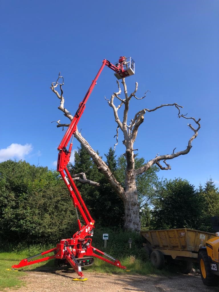 Tall Cherry Picker for tree work