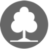 Tree care, tree surgery icon