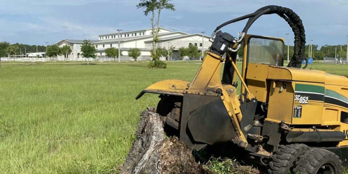 Stump Grinding services with specialist machinery Stump Grinding services with specialist machinery
