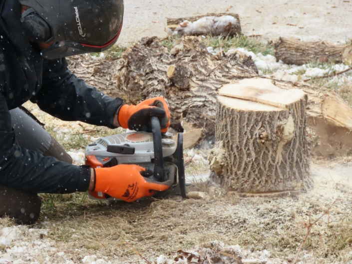 Stump Grinding services Stump Grinding services